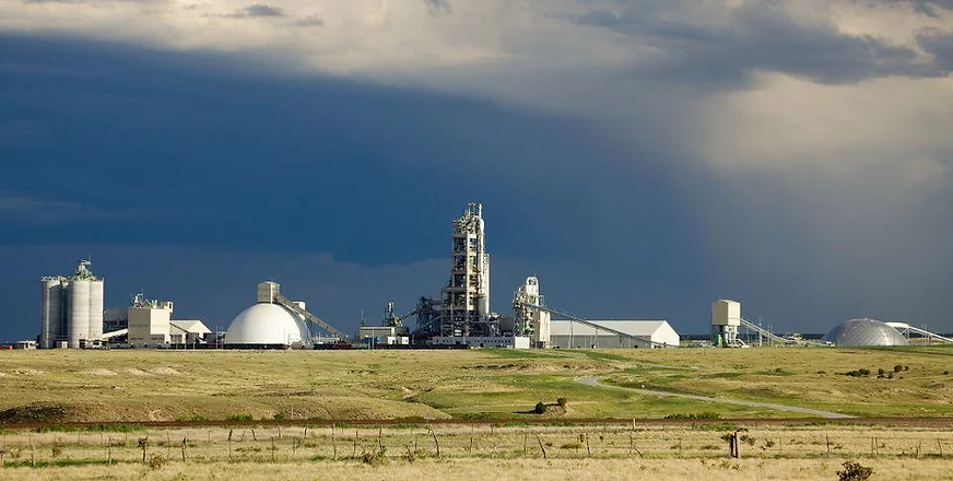 Large Plant with Storm in Background